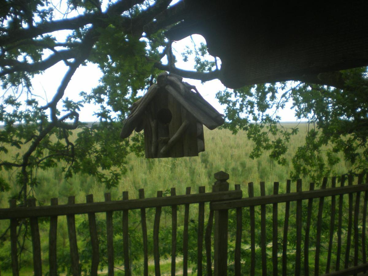 Cabane Perchee Solferino Exterior photo
